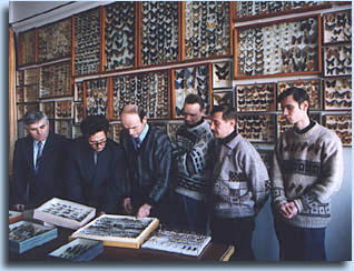 Слева направо: В.Н.Кузнецов - д.б.н., Ю.А.Чистяков - к.б.н., А.С.Лелей - д.б.н., В.С.Сидоренко - к.б.н., С.Н.Стороженко - д.б.н., П.Б.Климов - аспирант